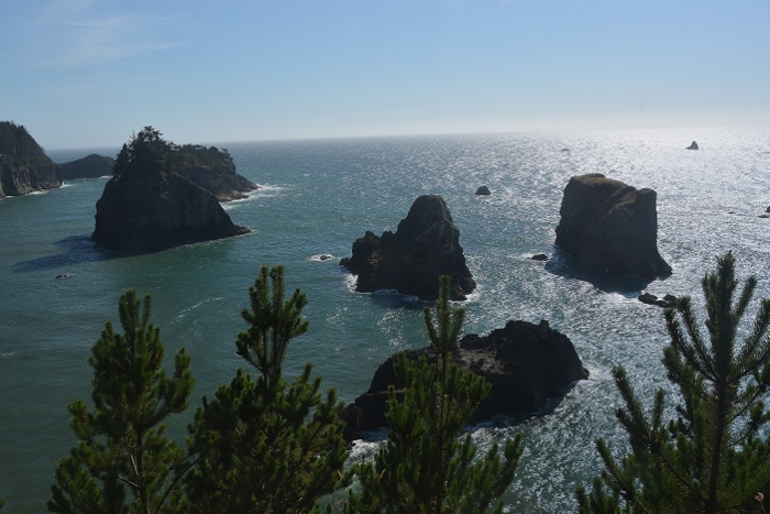 coast from Arch Rock Point